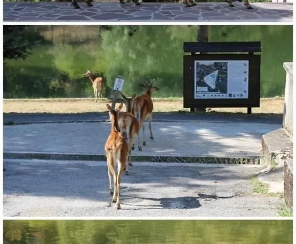 La Casa Di Nonna Carissima Villalago